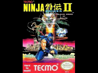 Ninja Gaiden II: The Dark Sword of Chaos para NES